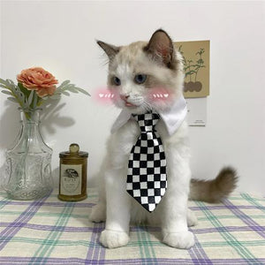 Eco Cat Tie