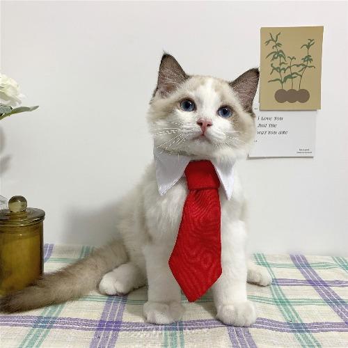 Eco Cat Tie