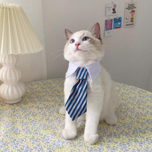 Eco Cat Tie