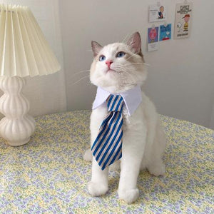 Eco Cat Tie