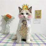 Load image into Gallery viewer, Eco Cat Tie
