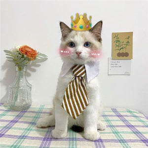 Eco Cat Tie