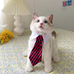 Load image into Gallery viewer, Eco Cat Tie
