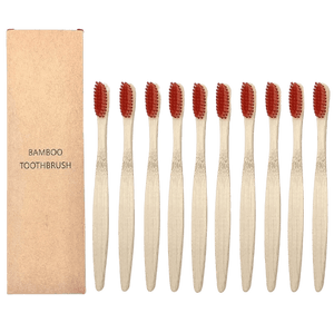Eco Toothbrush