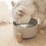 Load image into Gallery viewer, Eco Pet Bowl
