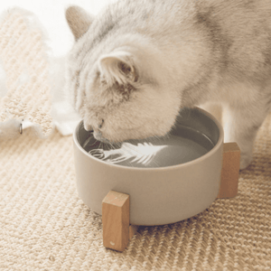 Eco Pet Bowl