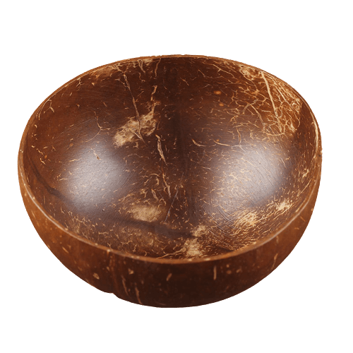Eco Coconut Bowl