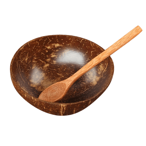 Eco Coconut Bowl