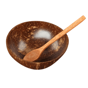 Eco Coconut Bowl